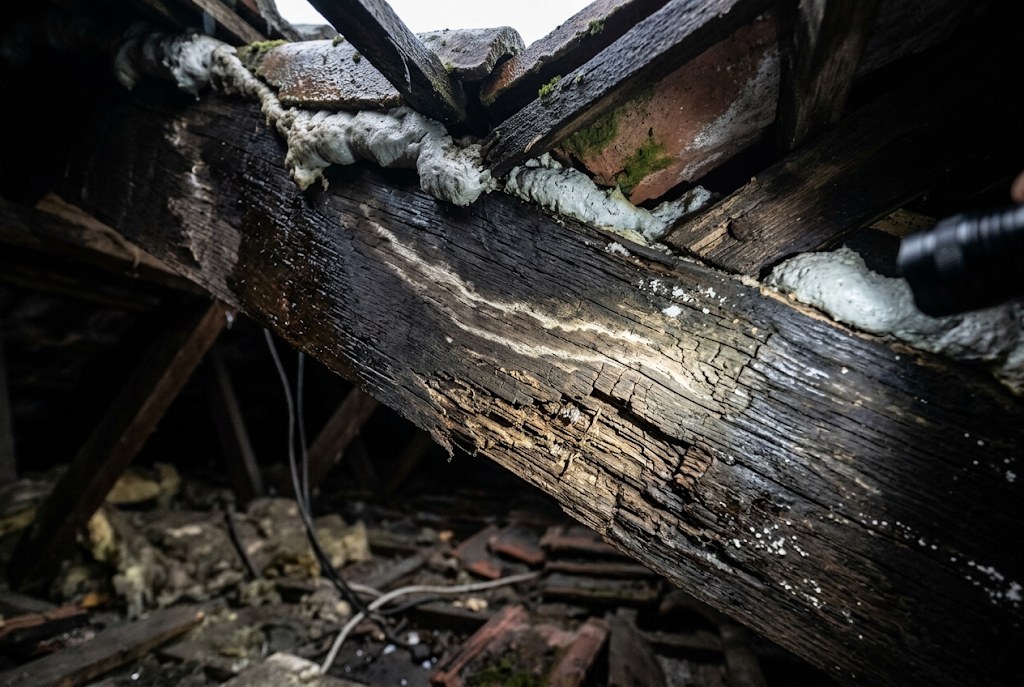 A darkened, damp-marked rafter beside sprayed foam.
